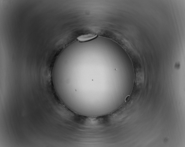 X0000103270613200809051508