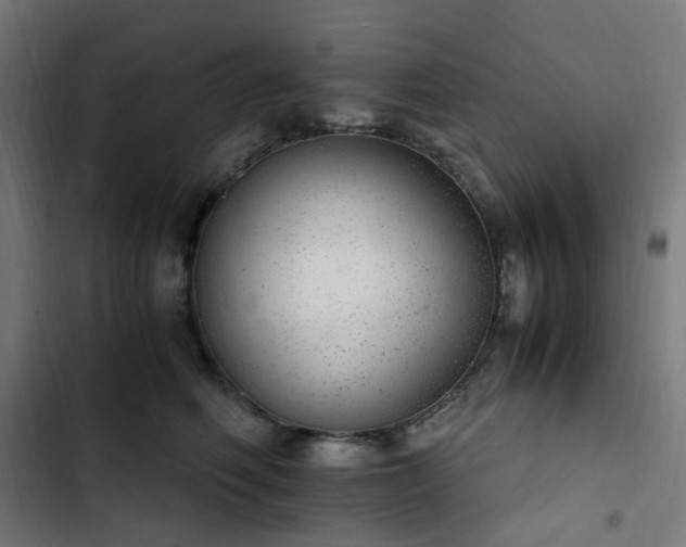 X0000103270614200809051508