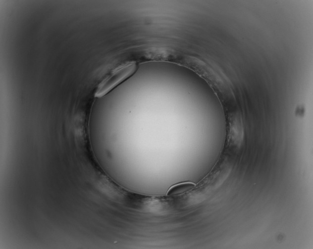 X0000103270616200809051508