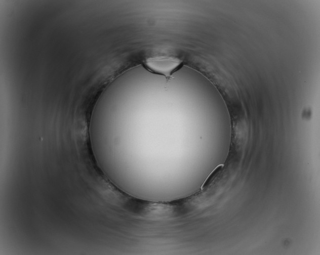 X0000103270617200809051508