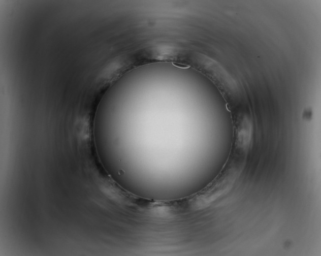 X0000103270620200809051508