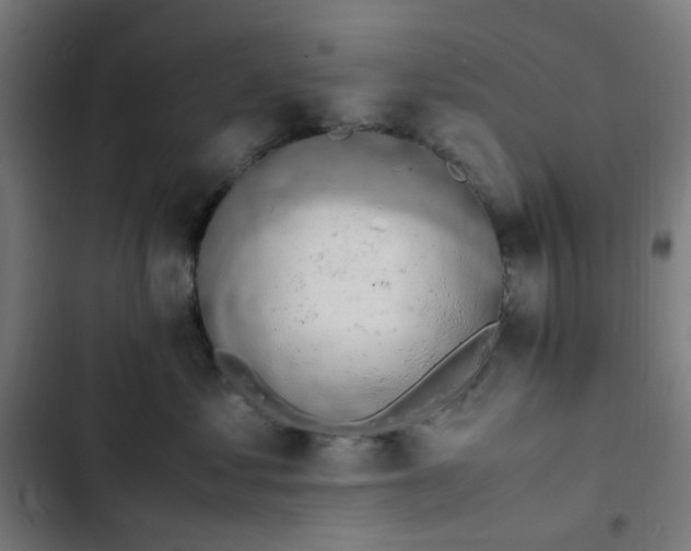 X0000103270621200809051508