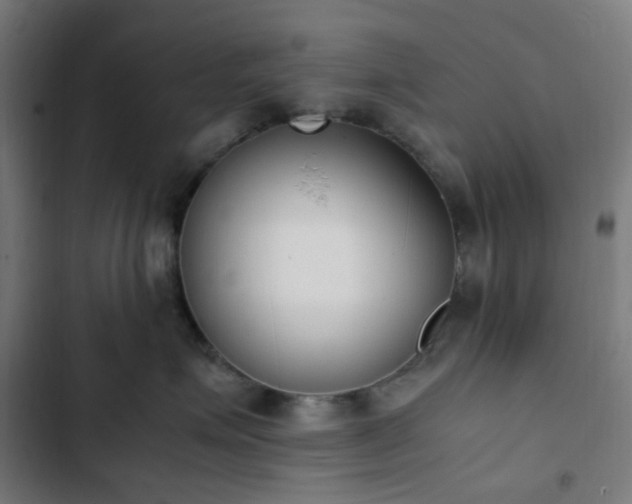 X0000103270623200809051508