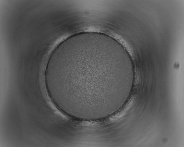X0000103270625200809051508