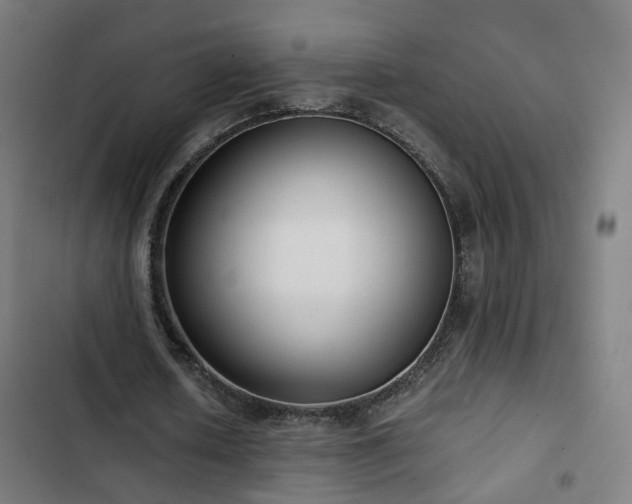 X0000103270626200809051508
