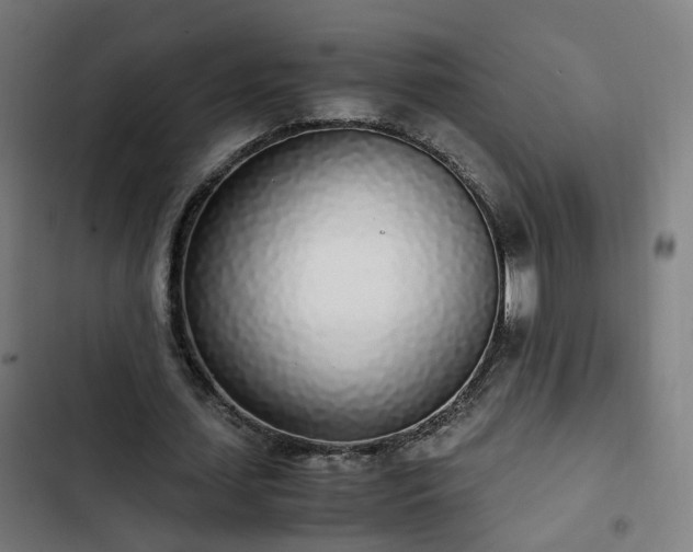 X0000103270627200809051508