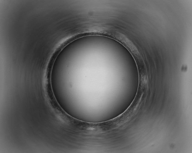 X0000103270628200809051508