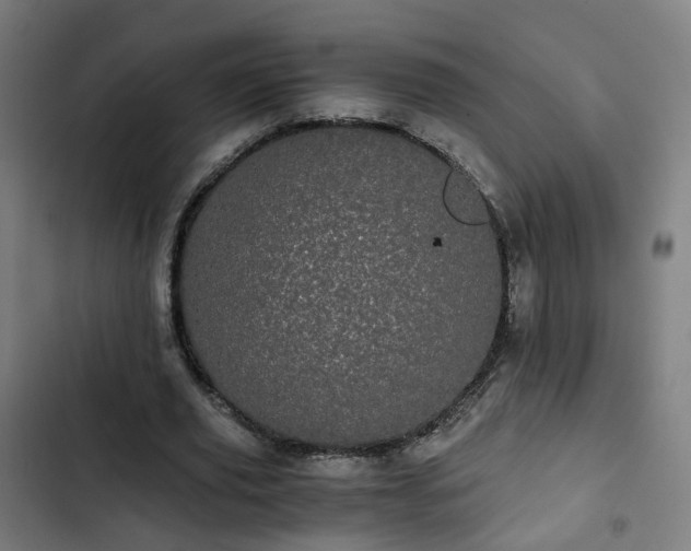 X0000103270629200809051508