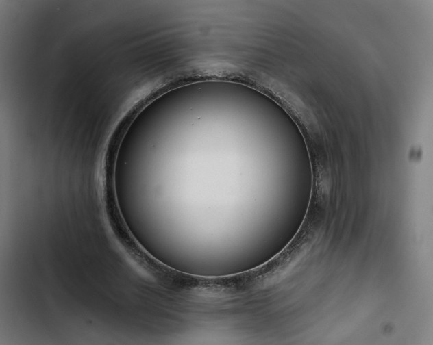 X0000103270630200809051508