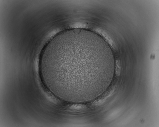 X0000103270631200809051508