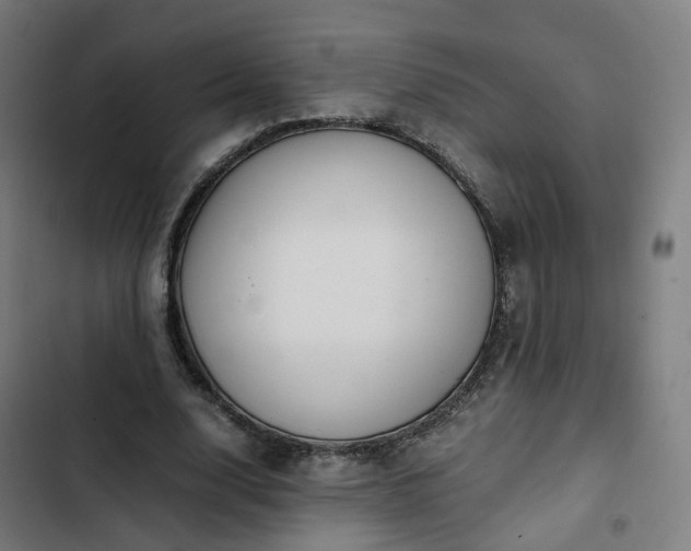 X0000103270632200809051508
