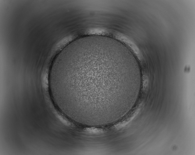 X0000103270633200809051508
