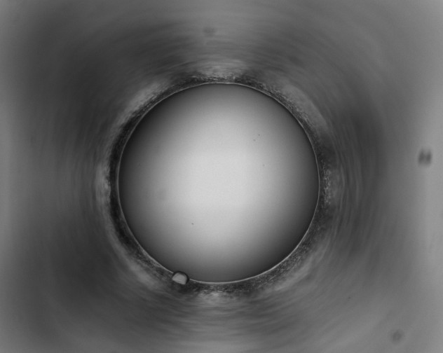 X0000103270634200809051508