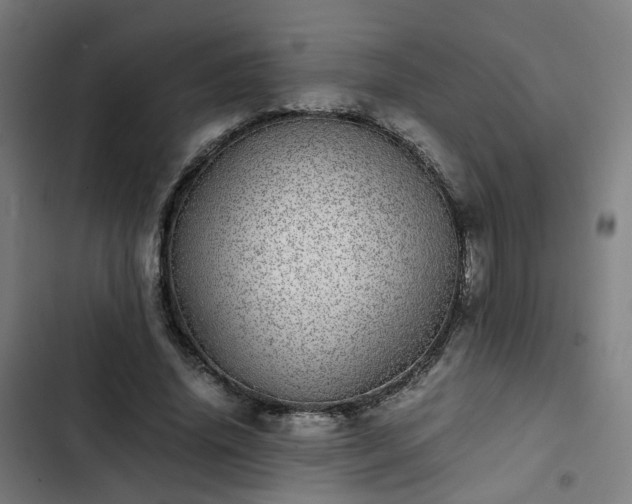 X0000103270636200809051508