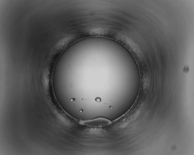 X0000103270637200809051508