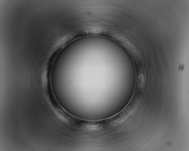 X0000103270638200809051508
