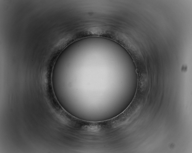 X0000103270639200809051508
