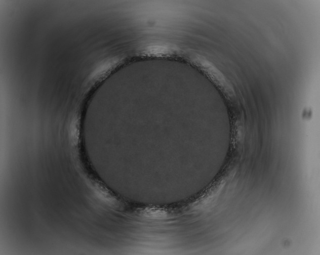 X0000103270640200809051508