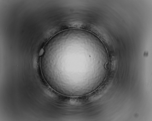 X0000103270641200809051508