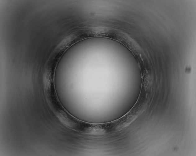 X0000103270644200809051508