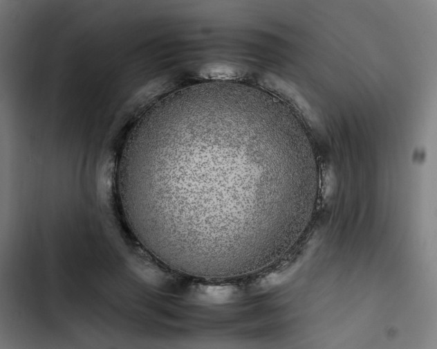 X0000103270645200809051508