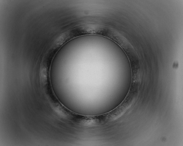 X0000103270646200809051508