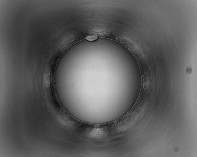 X0000103270647200809051508