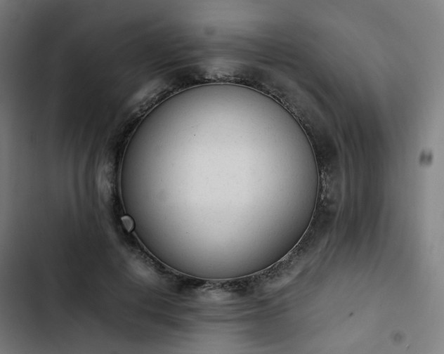 X0000103270648200809051508