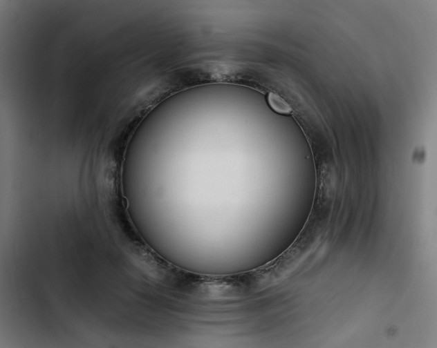 X0000103270650200809051508