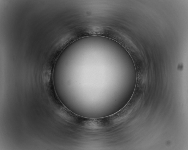 X0000103270652200809051508