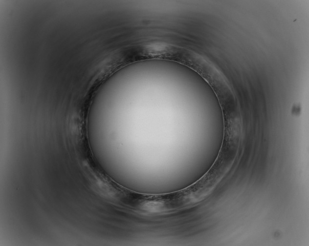 X0000103270653200809051508