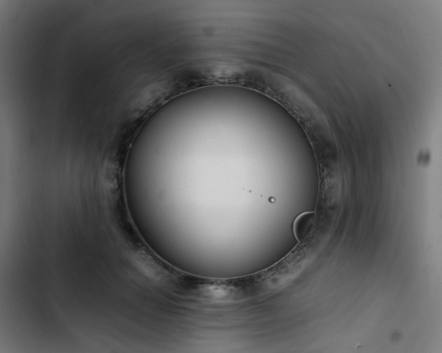 X0000103270654200809051508
