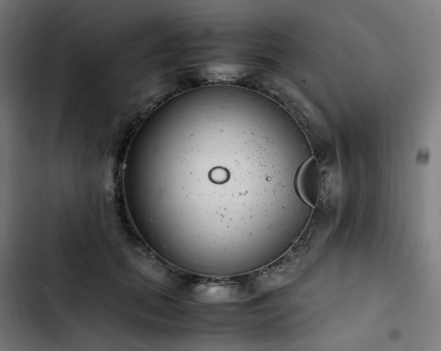 X0000103270655200809051508