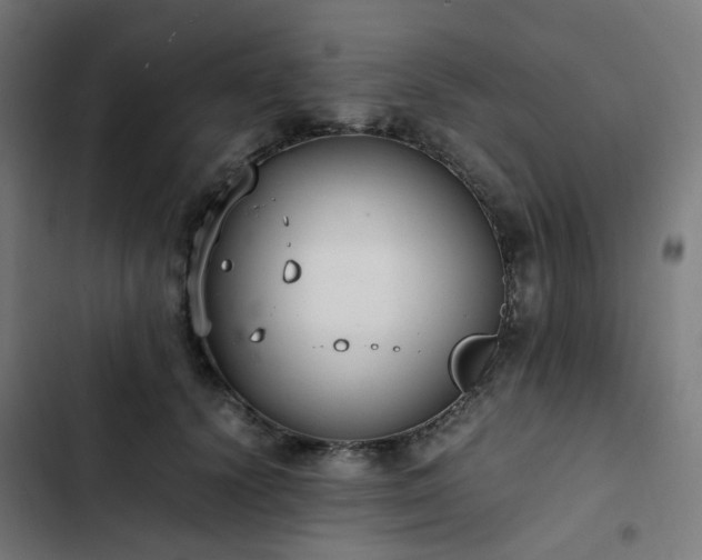 X0000103270656200809051508