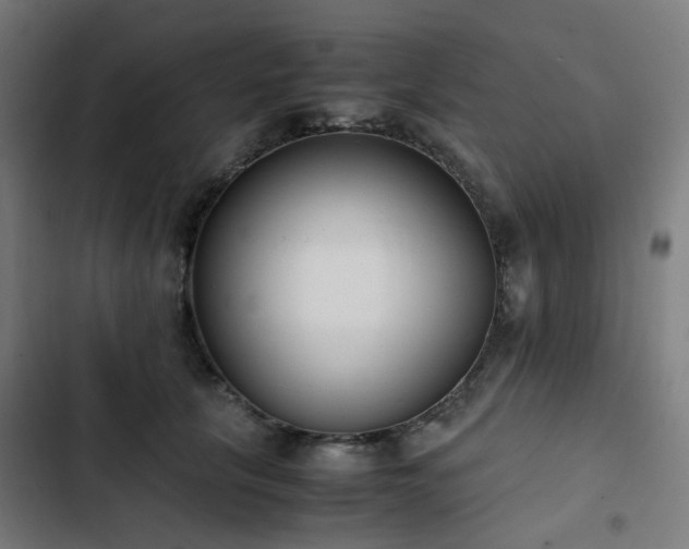 X0000103270657200809051508