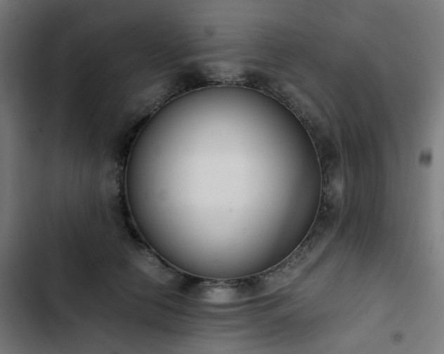 X0000103270658200809051508