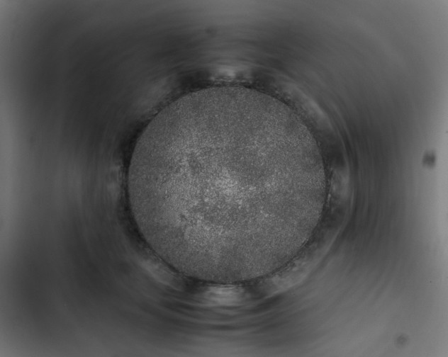 X0000103270659200809051508