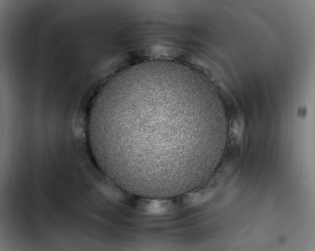 X0000103270663200809051508