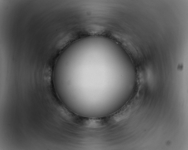 X0000103270664200809051508