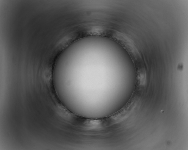 X0000103270665200809051508