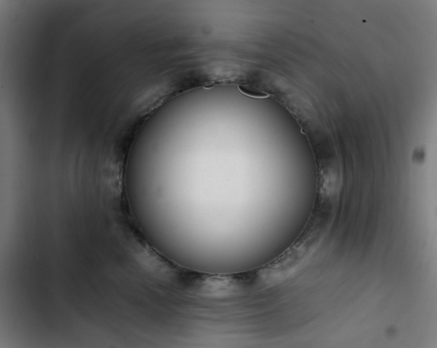 X0000103270666200809051508