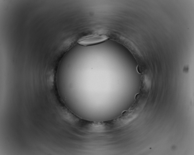 X0000103270668200809051508