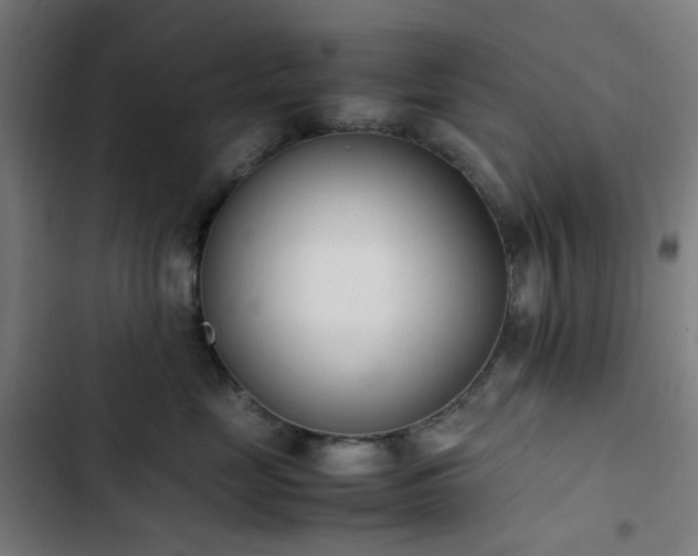 X0000103270669200809051508