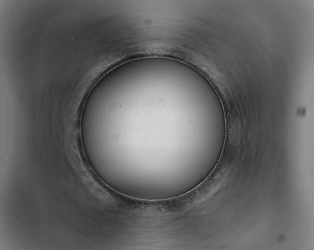 X0000103270673200809051508
