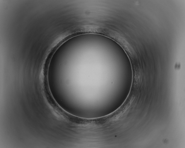 X0000103270674200809051508