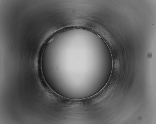 X0000103270676200809051508