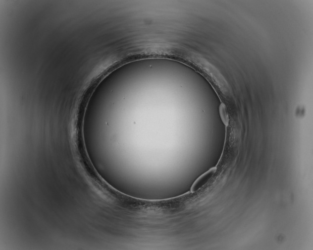 X0000103270677200809051508