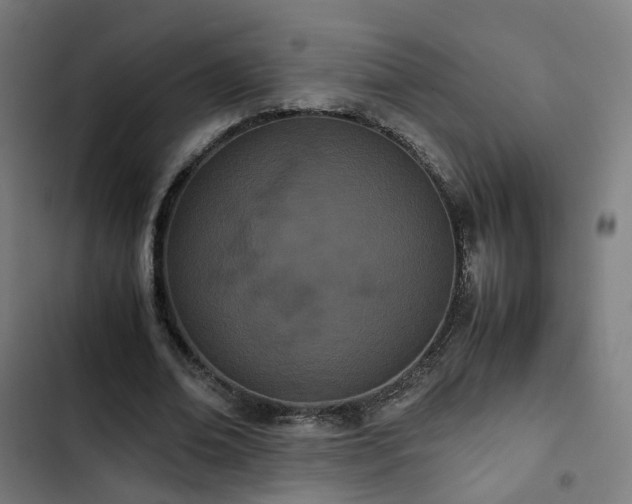 X0000103270678200809051508
