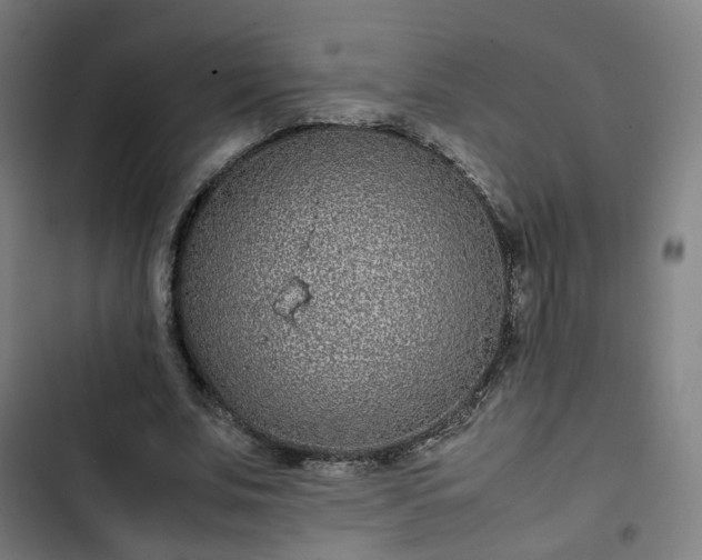 X0000103270679200809051508