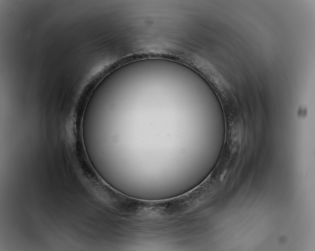 X0000103270680200809051507